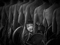 42 - Hide and seek - HUNG HOA LU - vietnam